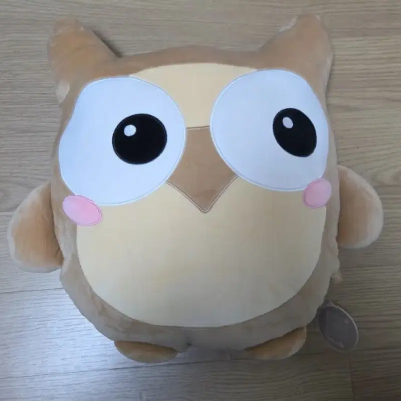 시대인재 기숙 1기 부엉이인형