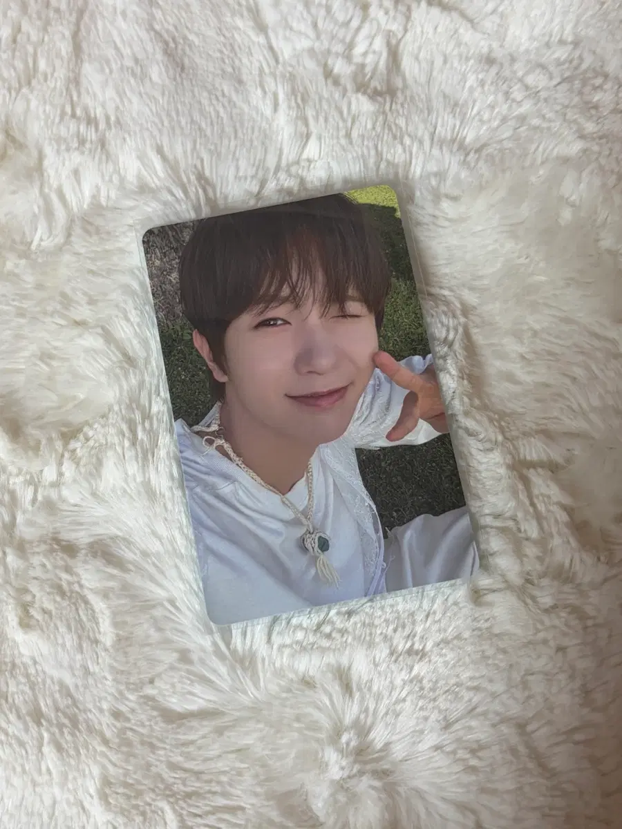 엔시티 위시 료 컬러