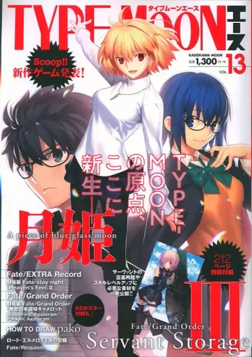 KADOKAWA !!TYPE MOON 에이스 (별책 부록 Fate/GO 소책자, B2 포스터) 완품 13