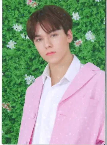 SEVENTEEN 2019 HARU VERNON 트레이딩 카드 0020
