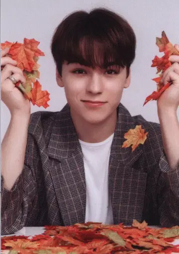 SEVENTEEN 2019 ODE to You IN JAPAN VERNON 트레이딩 카드 0077