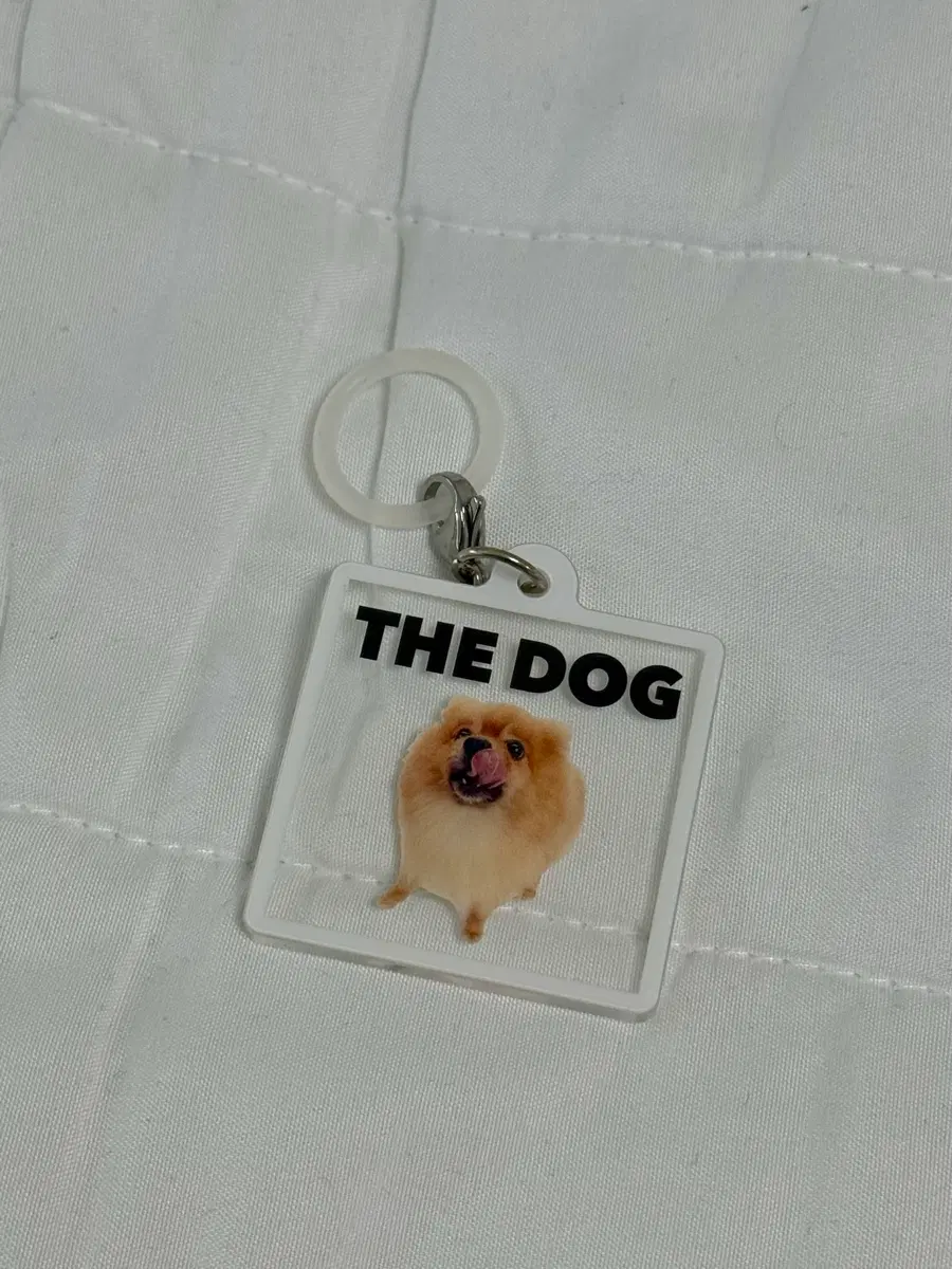 The dog 더 독 가챠 아크릴 키링 포메라니안