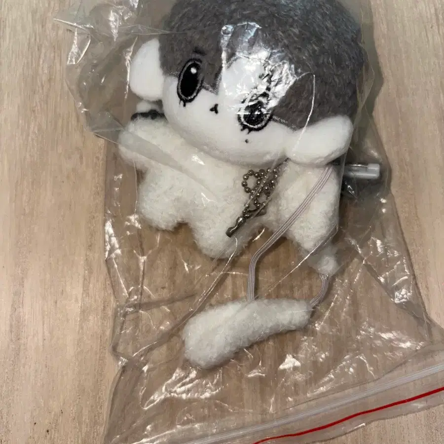 보이넥스트도어 이한 수상한 옆집 토한이 미개봉