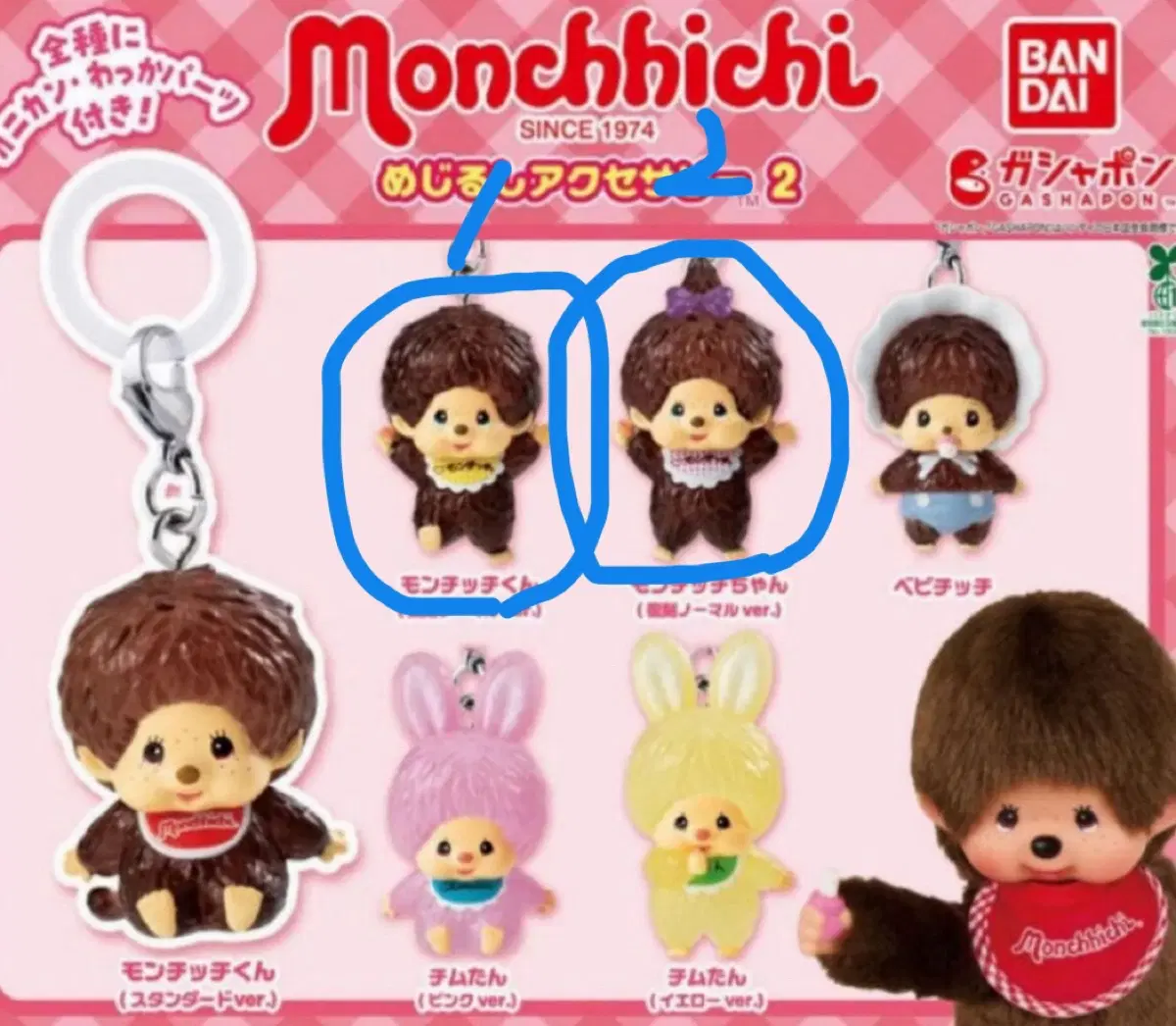 몬치치 메지루시 가챠 미개봉
