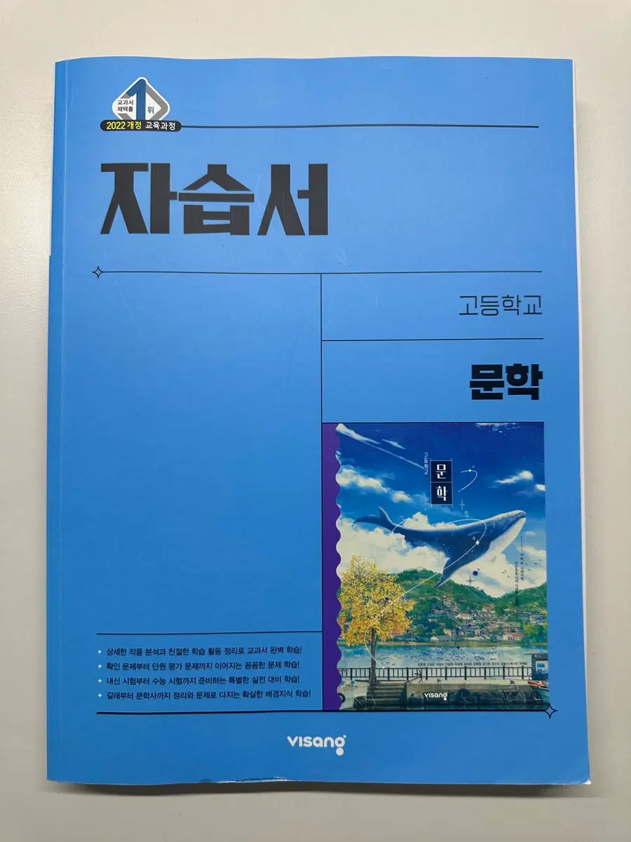 문학 비상(강호영) 자습서,버블티