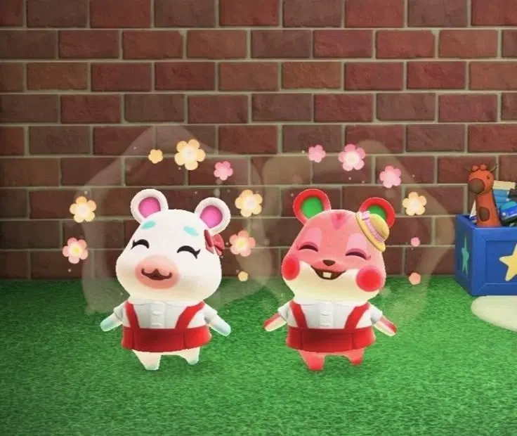 닌텐도 스위치 판매 (모둥숲, 젤다왕국의동물 포)