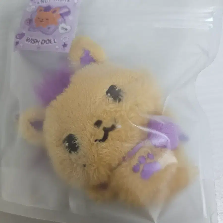 엔시티 위시 위시돌 nct wish doll 시오닝 시온