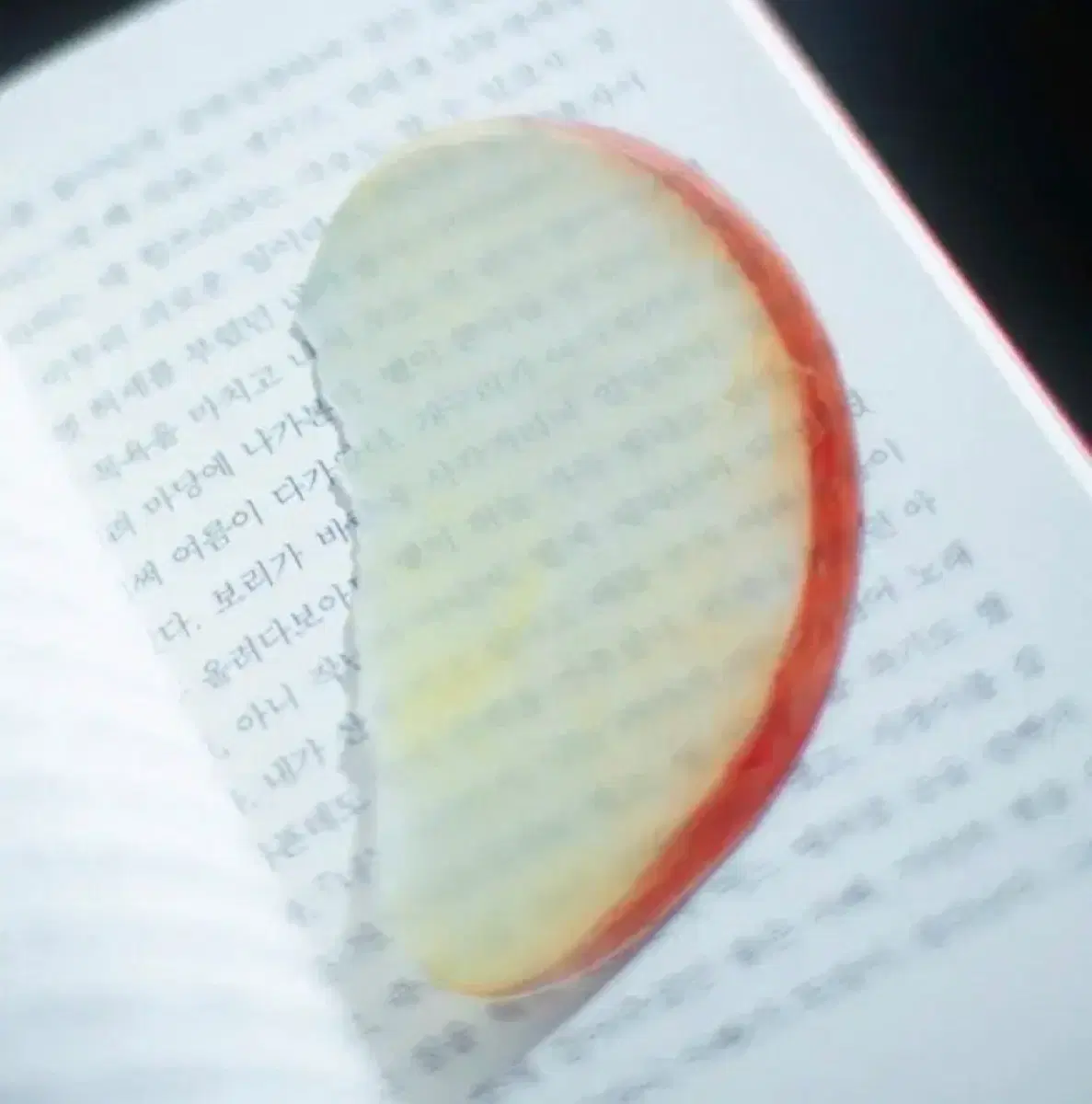 이옥토 작가님 사과 책갈피 미개봉