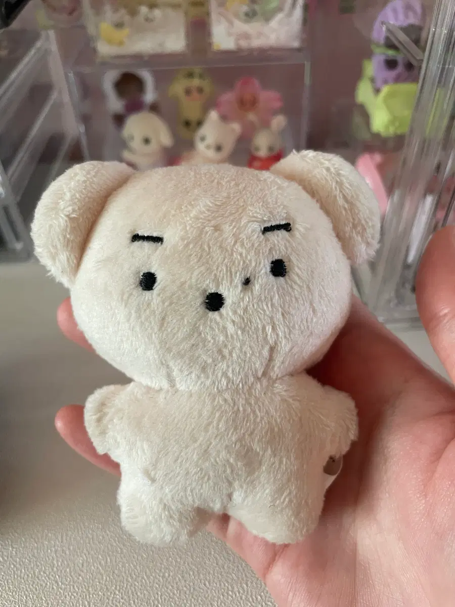 윤돗개 데이식스