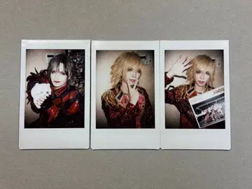 Royz 폴라로이드 3장 세트 2