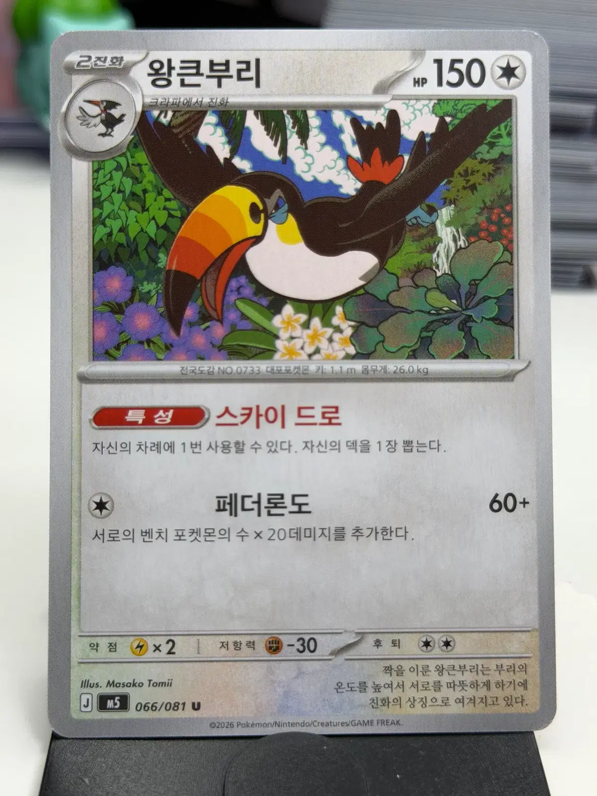 왕큰부리 M5 066/081 U (400)원