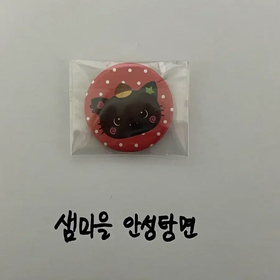 엔시티 위시 리쿠 쿠리 핀버튼 캔뱃지
