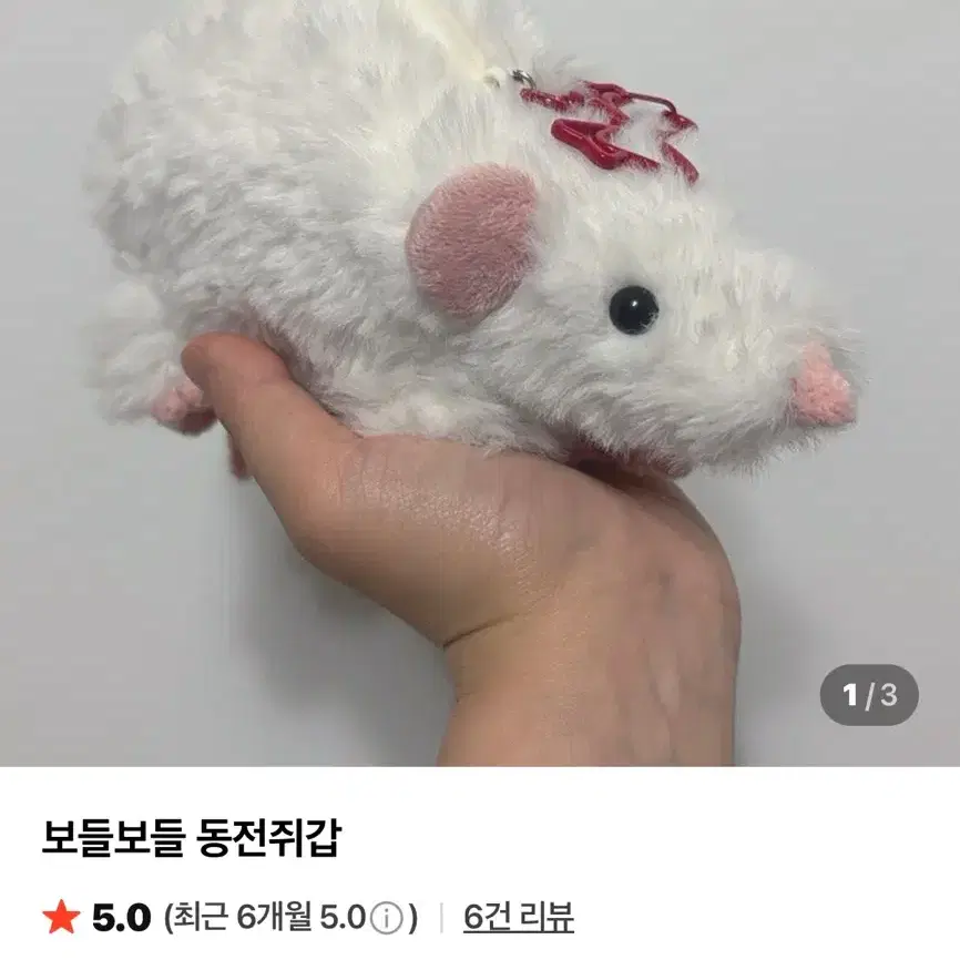 텐더러빙그랜마 동전쥐갑