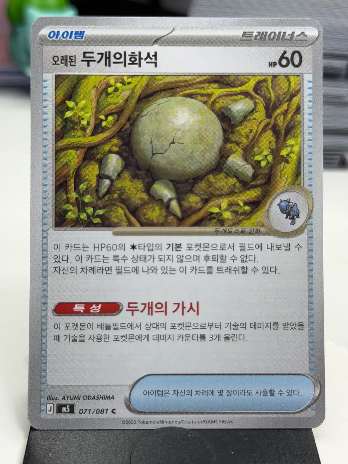 두개의화석 M5 071/081 C (300)원