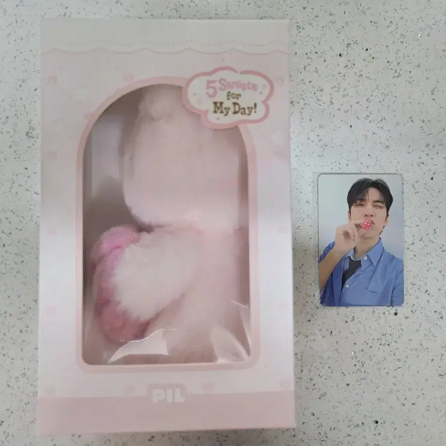 데이식스 쁘띠멀즈 보이스 키링 필+원필 포카