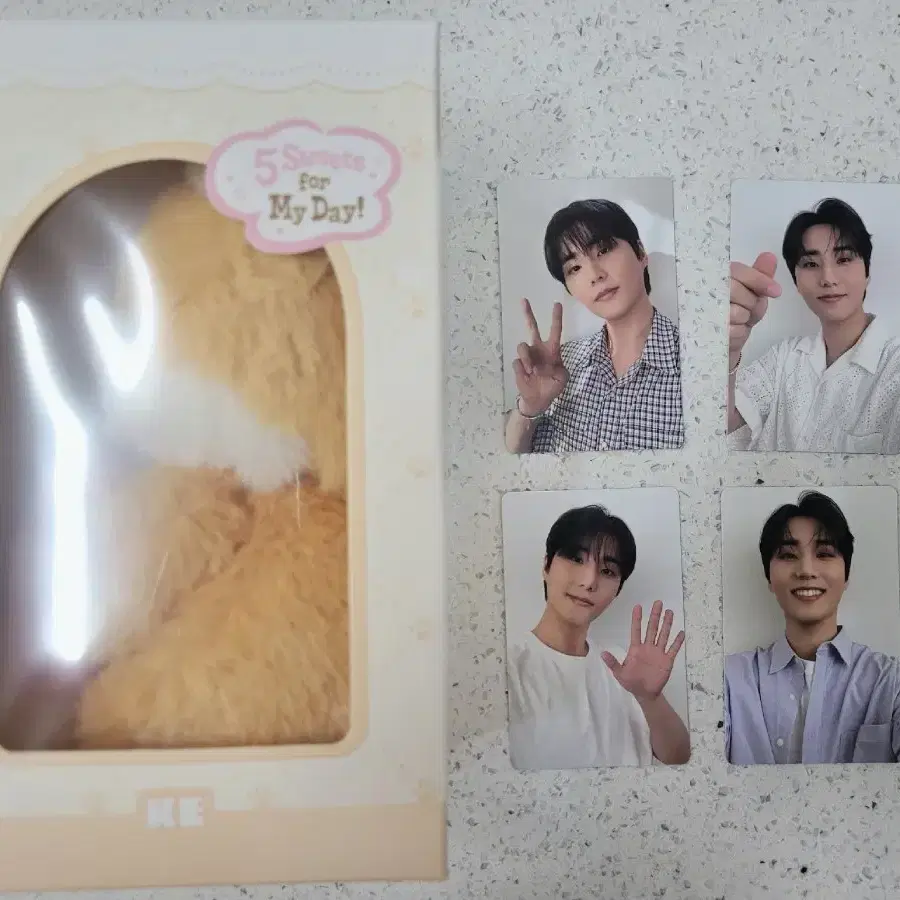 데이식스 쁘띠멀즈 보이스키링 케 + 영케이 로이비 포카