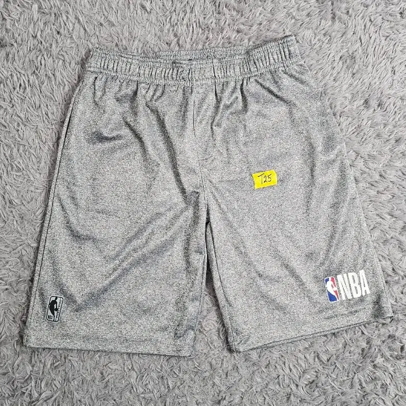 NBA 반바지 그레이