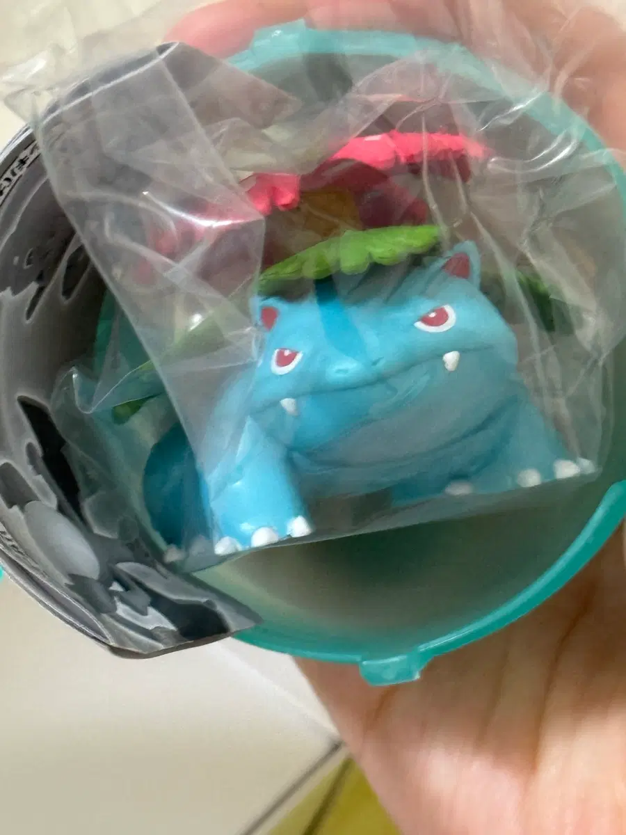 포켓몬 관동지방 이상해꽃 가챠