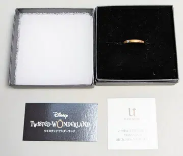 U-TREASURE 디즈니 이그니하이드 기숙사 메시지 반지 19호 K10 옐로우 골드