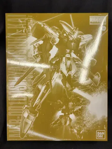 반다이 MG 1/100 기동전사 Z 건담 MSV 백식 개