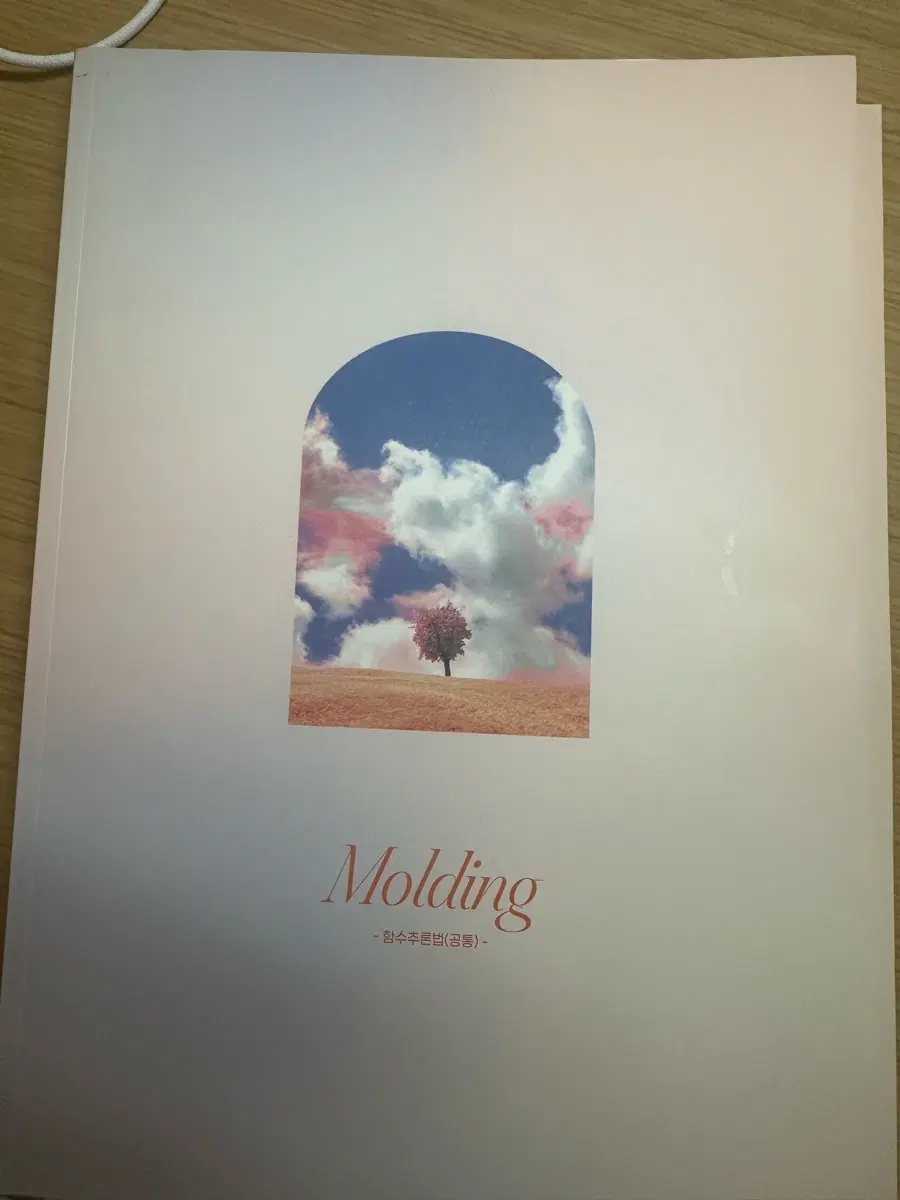 최지욱 몰딩N제