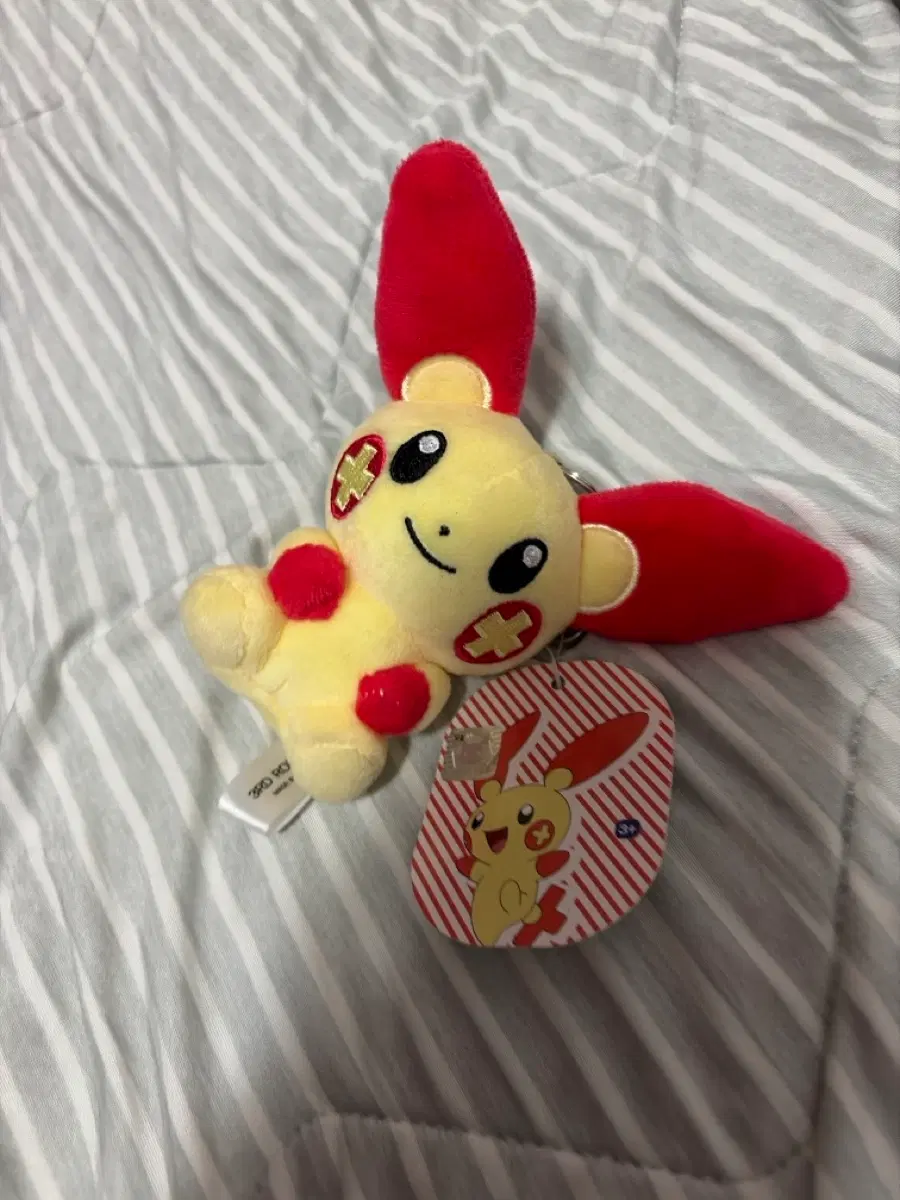 포켓몬스터 플러시 인형