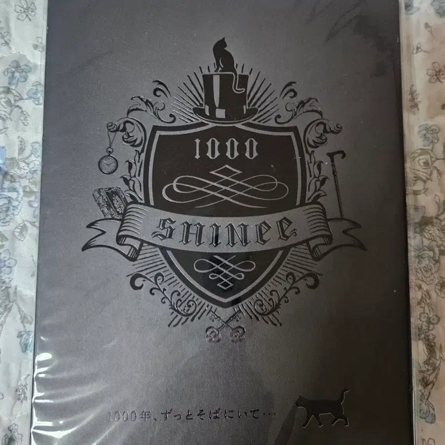 샤이니 SHINee 1000년 계속 곁에 있어줘 DVD