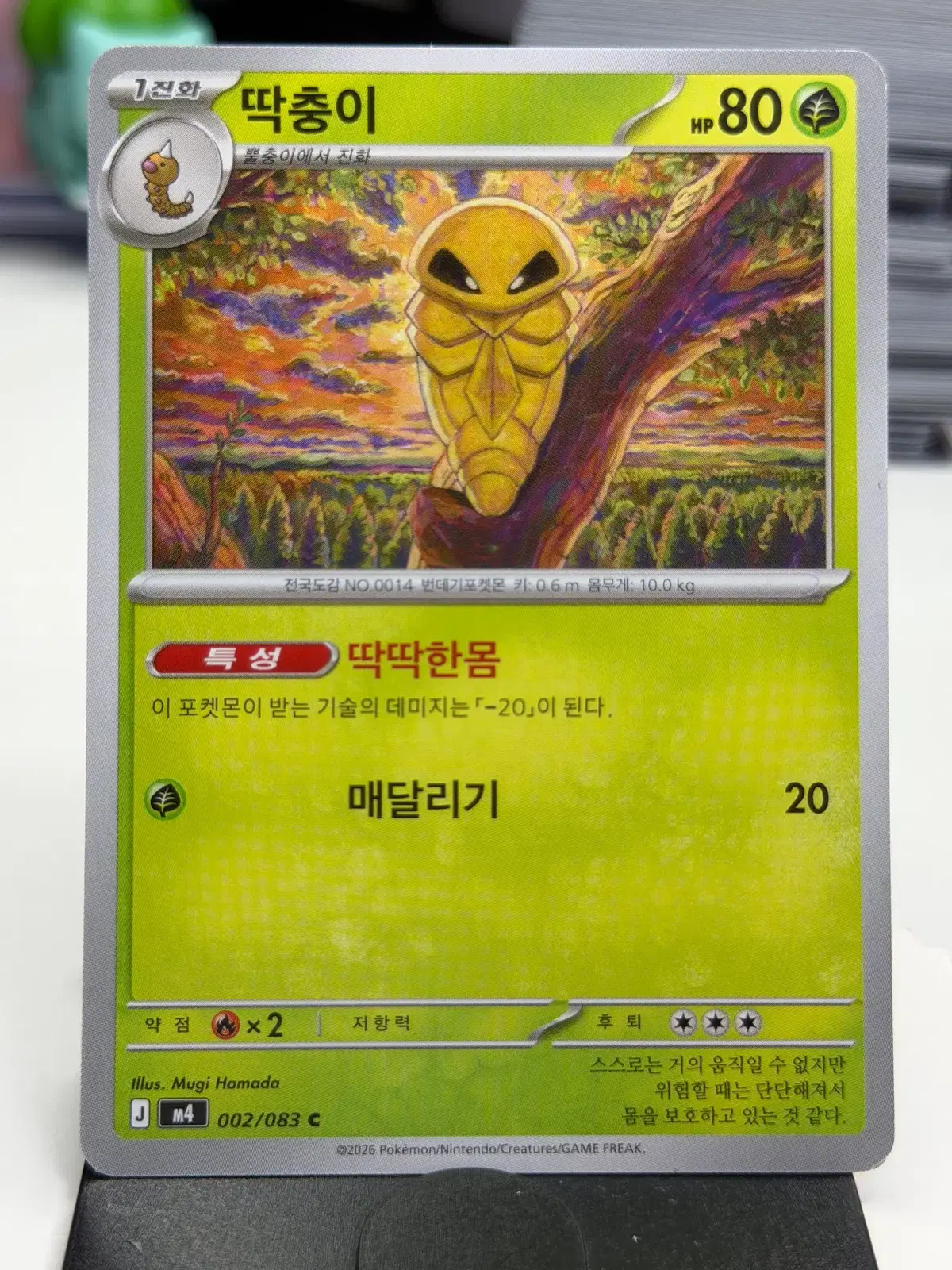 딱충이 M4 002/083 C (300)원