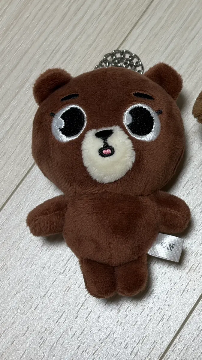 데이식스 데니멀즈 일본 백참 방