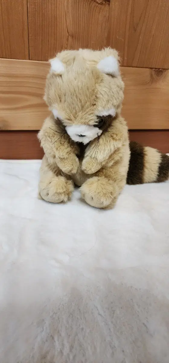 일본 빈티지 너구리인형
