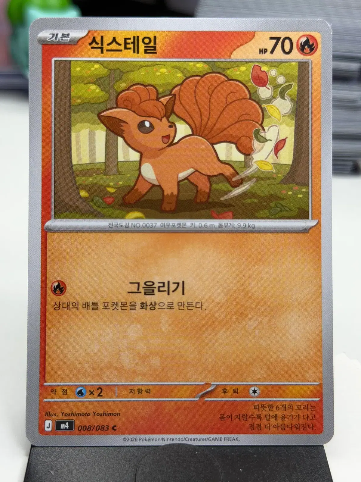 식스테일 M4 008/083 C (300)원