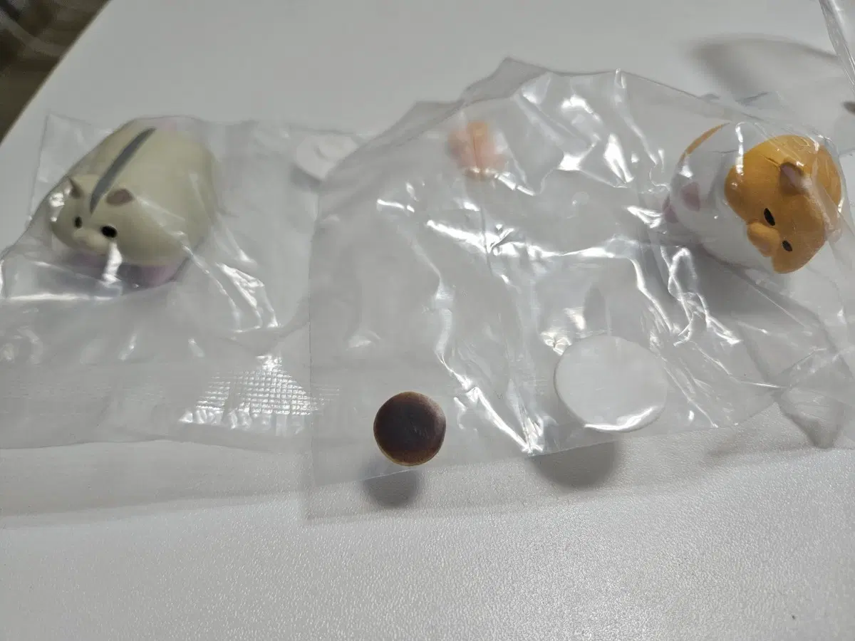 (일괄)모찌리 햄스터의 핫케이스 교실 햄스터 가챠