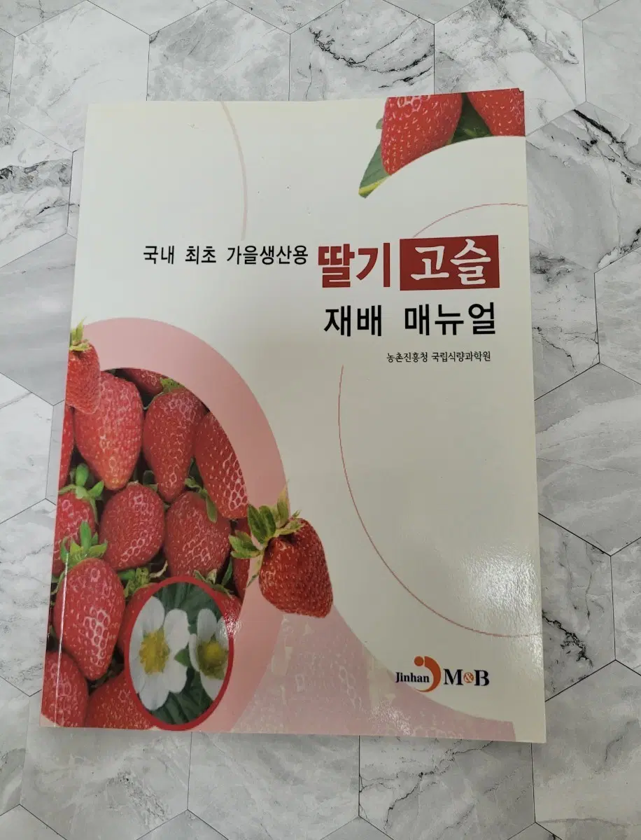 국내 최초 딸기 고슬 재배 매뉴얼