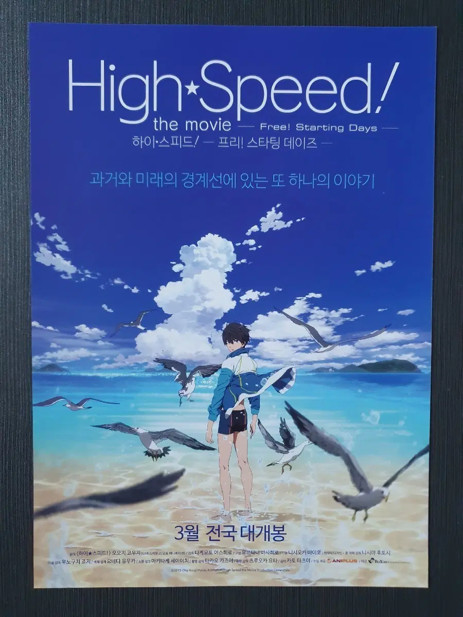 하이 스피드! 프리! 스타팅 데이즈 전단지 팜플렛 A4