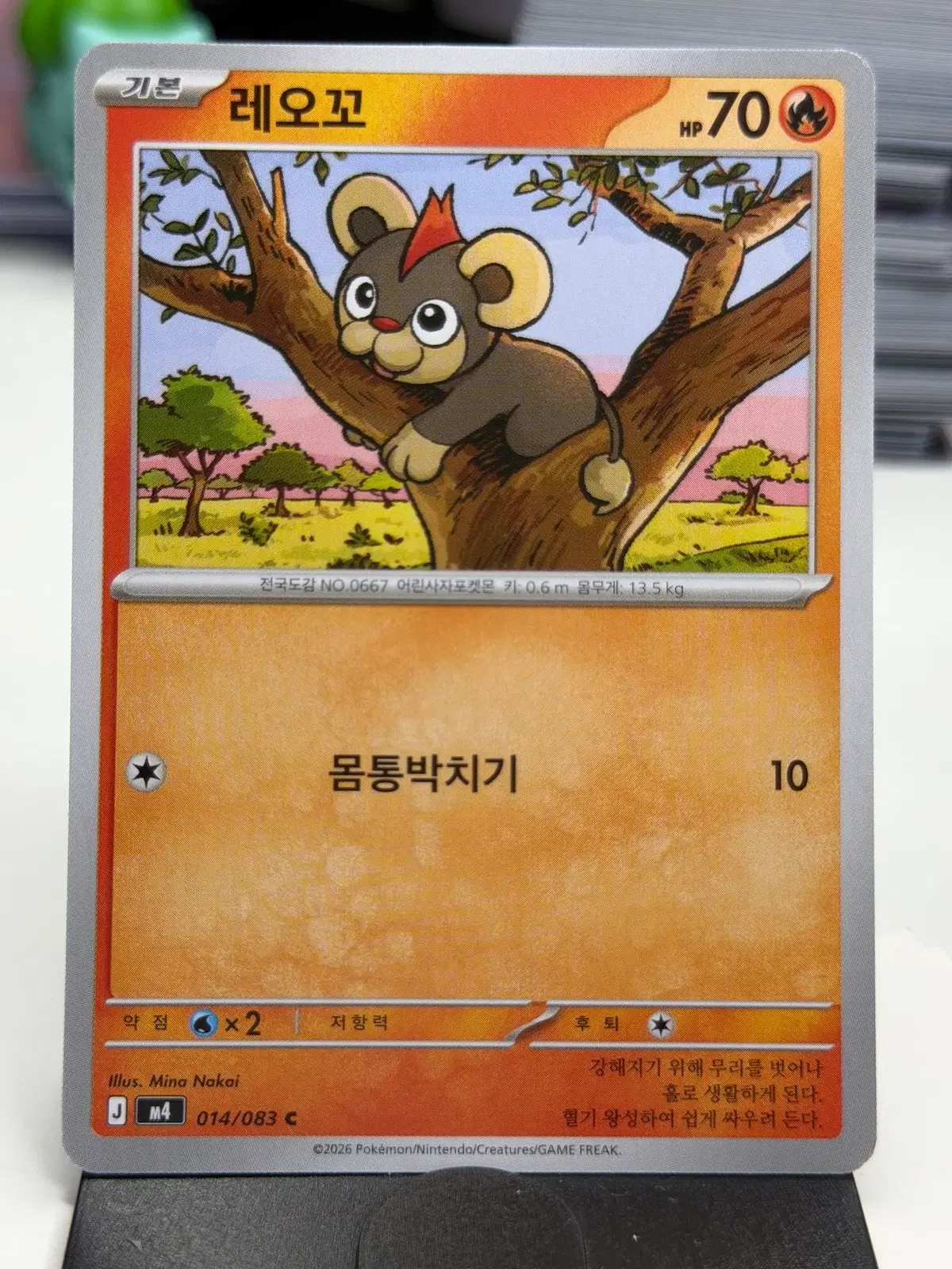 레오꼬 M4 014/083 C (300)원