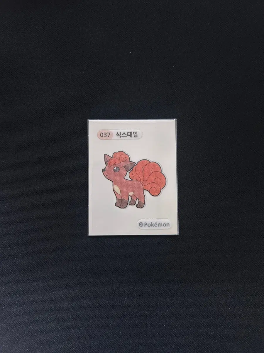 2022년 포켓몬 3자리 띠부씰 037 식스테일 판매합니다