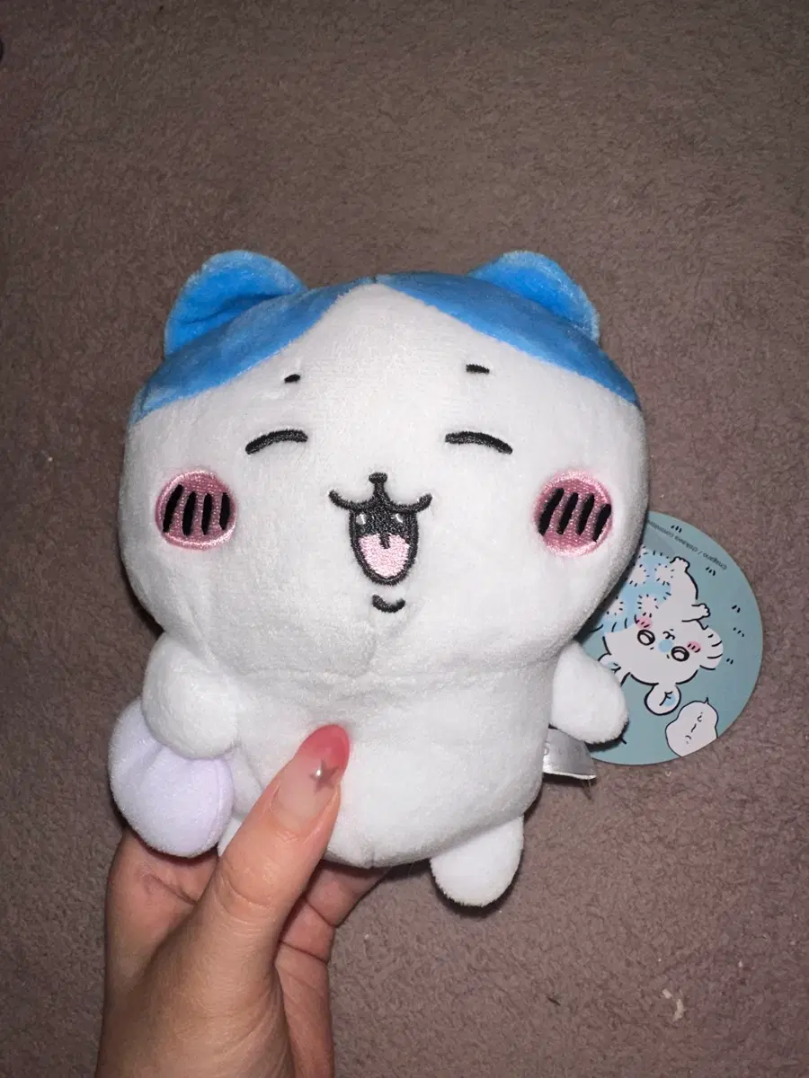 채집 하치와레