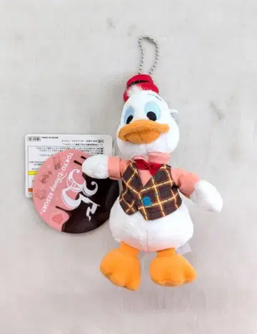 도쿄 디즈니랜드 인형 배지 TDR 35주년 Anniversary 가스 구스/덕 패밀리 초콜릿 컴페티션 2018