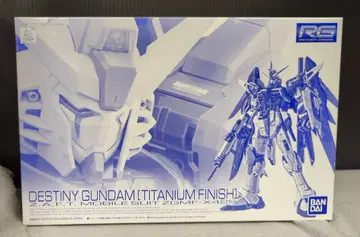 BANDAI SPIRITS RG 1/144 반다이판 기동전사 건담 SEED DESTINY 데스티니 건담 [티타늄 피니쉬]