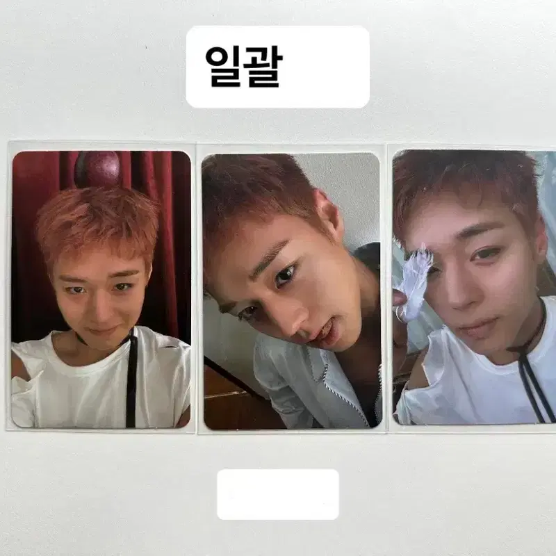 (가격내림) 박지훈 리플렉트 앨범 포카 3장 일괄