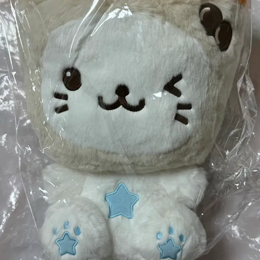 엔시티위시 30CM WISHDOLL yushi유우시