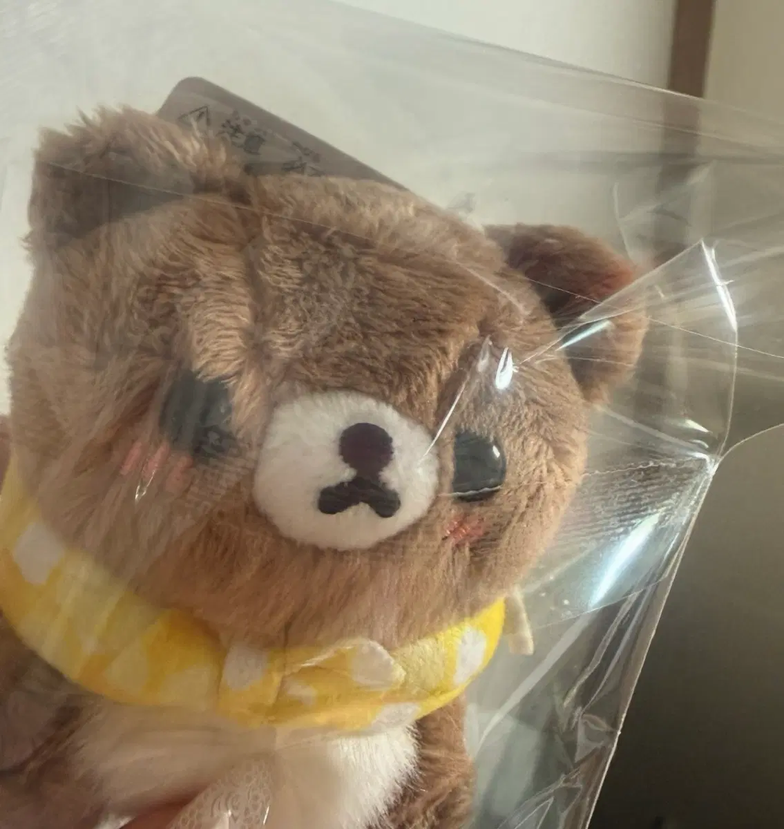 꿀벌 챠이로이 코구마