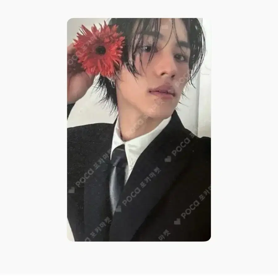구해요) 에투메 석준 후즈팬 포카 삽니다