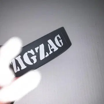 진 천지개벽집단 지그재그 러버 밴드