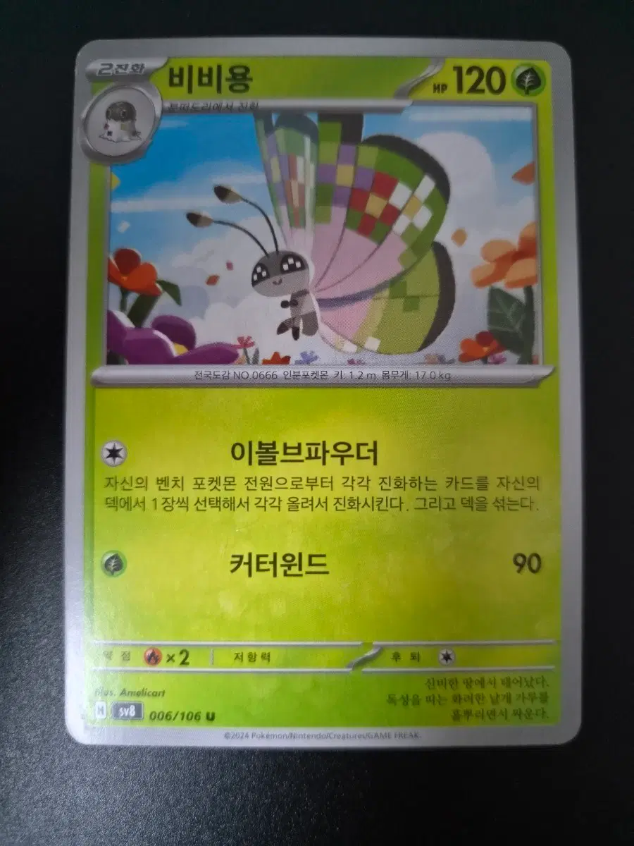 포켓몬 카드 비비용