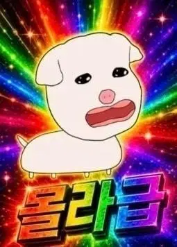 포켓몬카드 ar카드 사요 1세대 위주 상태상관X