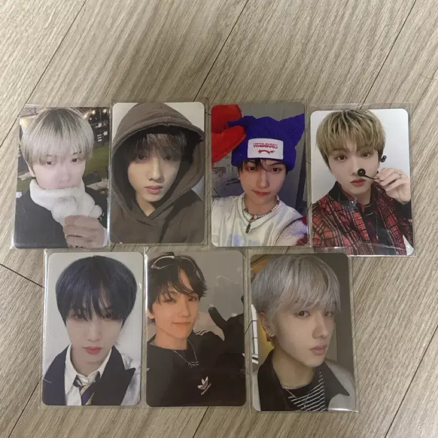 Nct 지성 포카 일괄 급처