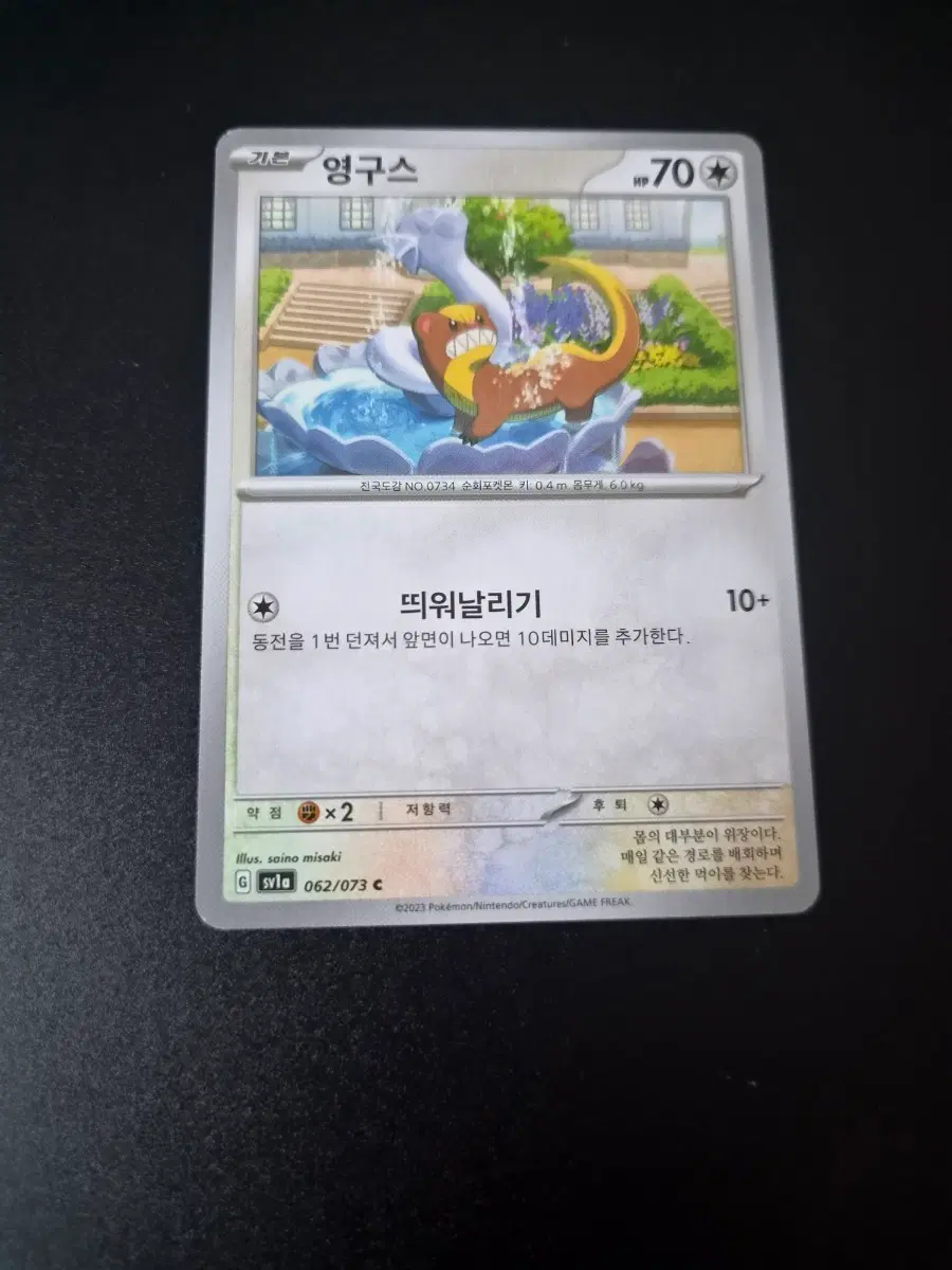 포켓몬카드 영구스