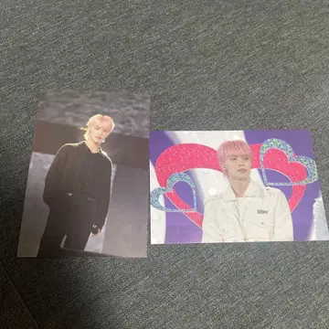 SEVENTEEN LOVE 전시회 디노