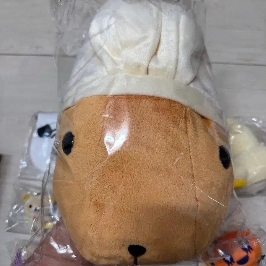 택포) 토끼 카피바라 대형 인형 (택 없음)